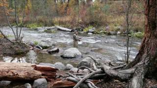 Missoula County Detention Center Video
