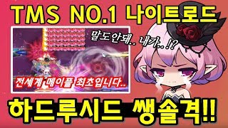 [한자] 메이플스토리 우주최초.. 하드루시드 쌩솔격!!!!!! 와...XX.. (LV250 만렙 TMS 전섭 1위 나이트로드) [한자플스토리]