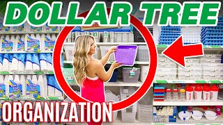 Everyone will be buying DOLLAR TREE ORGANIZATION when they see this!