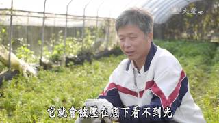 【蔬果生活誌】20150315 - 老人養生蔬食法