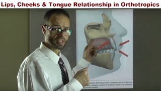 How Can Your Lips, Cheeks and Tongue Straighten Your Teeth By Dr Mike Mew