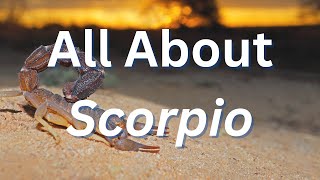 What Scorpio Placements Says About Your Personality 🦂