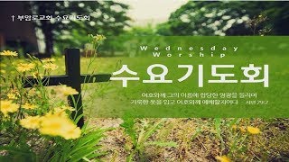 [수요 기도회] 2020.06.17(수)