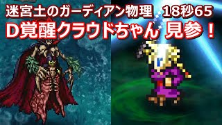 【FFRK】迷宮土のガーディアン物理有効難易度650　ラビリンスダンジョン　30秒切り　クラウドデュアル覚醒(D覚醒)　Labyrinth,earth,Cloud,Vaan,Fang