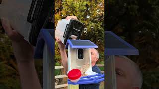 Tango loves his new bird house!!  #parrot #cockatoodancing #birds #cockatoo #tango #funny