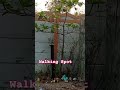 కొండల్లో వాకింగ్ చేయండి explore mithilanagar walking track area enjoy nature naturelovers viral