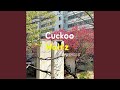 Cuckoo Waltz