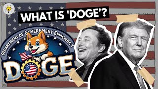 DOGE — Department of Government Efficiency Explained