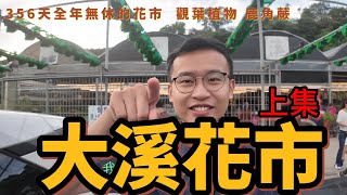 大溪花市《上集》|桃園假日花市|可參考暮野荒原|桃園 |桃園花市|鹿角蕨 | 觀葉植物| 建國花市|桃園虎頭山假日花市|週休假日好去處|桃園市區的花市