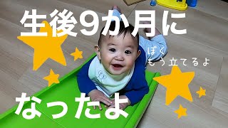 【密着】生後９か月になって危ないことしかしない次男のある１日【赤ちゃん】