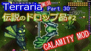 【テラリアMOD】CalamityMODで苦しむよ！実況Terraria Part30