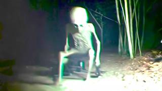 Most Disturbing Creatures Captured By Hidden Cameras