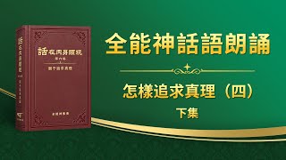 關于追求真理《怎樣追求真理（四）》下集