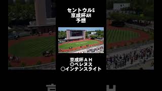 【本気の競馬予想】セントウルステークス 京成杯ＡＨ予想 #shorts #ギャンブル #競馬 #競馬予想 #セントウルステークス #セントウルs #京成杯ah #京成杯オータムハンデ