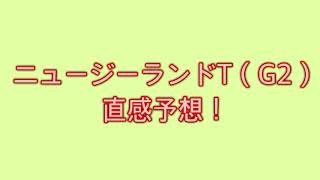 ニュージーランドT（G2） 直感予想！