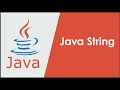 Find the Vowels in String | Count the Vowels in String in Java