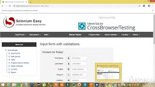 Selenium Tutorial | Easy to Learn |Input form with validations 3