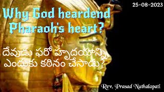 230825: Why God heardend Pharaoh's heart? దేవుడు ఫరో హృదయాన్ని ఎందుకు కఠినం చేసాడు?