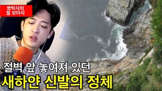 부산 절벽에 놓여 있던 신발 한켤레의 소름 돋는 정체...노약자 시청자제