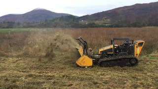 Clearing Rushes with the Robocut