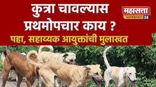 कुत्रा चावल्यास प्रथमोपचार काय ? पहा, सहाय्यक आयुक्तांची मुलाखत rebies