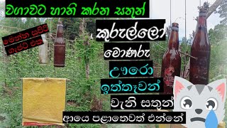 වගාවට හානි කරන සතුන් පලවා හැරීමට අපි සුළං ටකයක් හදමු/menna supiri video eaka/takaya/sl rasadhara