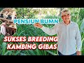 BIKIN RESEP SENDIRI SEKARANG SUKSES || DAN NAMBAH KANDANG BARU UNTUK BREEDING #ideusaha