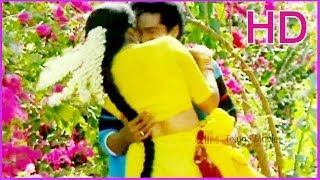 Nannu Cheera Chesuko - Extraordinary Song - In Manmadha Leela Kamaraja Gola Telugu Movie(HD)