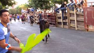 2º encierro con aparatosa cogida, Fiestas de agosto 2019