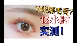 【柚子】不买吃亏！19块火烈鸟睫毛膏12小时实测！送的睫毛夹都那么好用啊啊啊啊啊啊啊