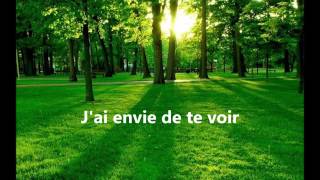 Parole(Lyric)- KOLLINS Envie De Te Voir By Lowen +22890640617