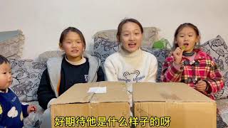 动物造型的收纳箱，三个女儿爱不释手，4个孩子才买两个咋分！vlog日常