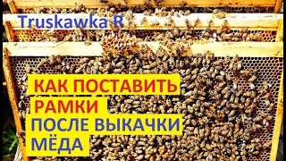 #Пчёлы.После откачивания мёда, нужно не просто поставить рамки в улей. А нужно поставить правильно