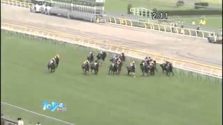 ハープスター敗れる！2014優駿牝馬直線。ヌーヴォデコルト優勝