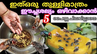 ഇതൊരു തുള്ളി മതി ഈച്ച വീടിന്റെ പരിസരത്ത് പോലും വരില്ല How to get rid of house files remove tips|