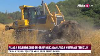 Aliağa Belediyesi’nden Ormanlık Alanlarda Hummalı Çalışma