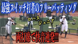 両打席で快音連発！最強スイッチ打者ロハス・ジュニアのフリーバッティング【阪神タイガース】