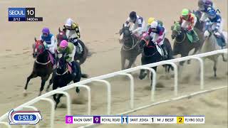 (Seoul) 2023.02.12 R10 Class 3 (1400M) Handicap