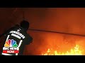 Climate Scientist: Amazon Fires ‘Destroying Unique, Irreplaceable Ecosystems' | NBC News Now