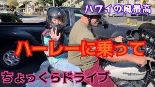 【ハワイ長女ハーレーに乗る♡】バイク日和な日⭐︎