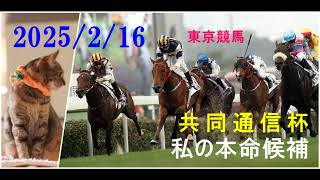 2025/2/16　東京競馬　共同通信杯（ＧⅢ）私の本命候補