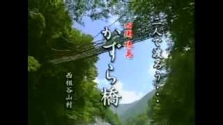 旧西祖谷山村 祖谷のかずら橋 TVCM-2（2006年）