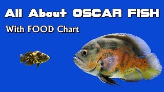 Oscar Fish Growth Chart