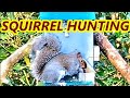 EPIC SQUIRREL HUNTING - A VERY BUSY MORNING - WEIHRAUCH HW100