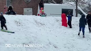 DC Snow Sledding in Glover Park