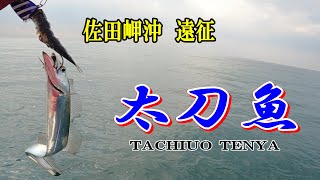 太刀魚テンヤ　佐田岬沖遠征