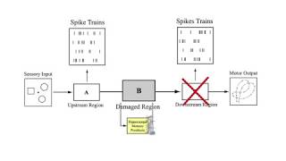 Neural Engineering — A Case Study