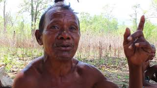 Forest Food available for Tribes in Forest From a Juanga Tribe