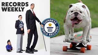Tallest Meets Shortest and Skateboarding Bulldogs | Records Weekly - Guinness World Records