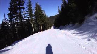 Horstman House Ski-In - Whistler Blackcomb